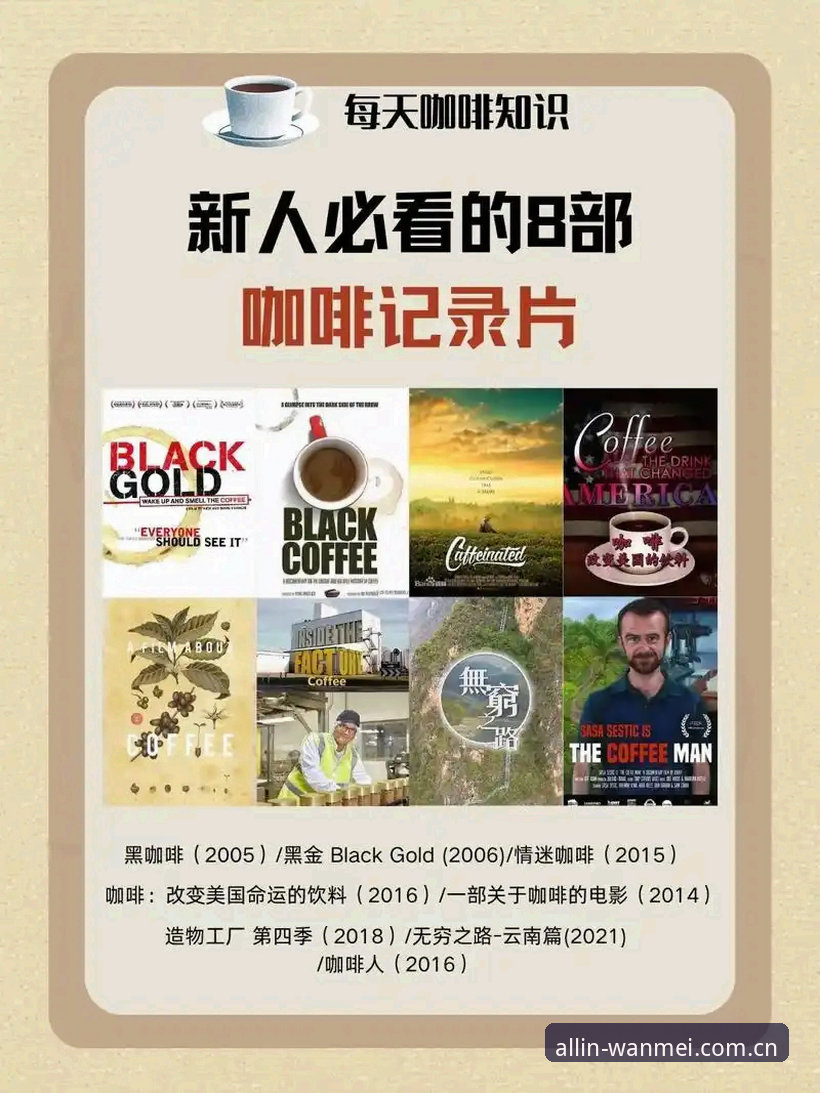 新手必看！完美体育正版下载与官方入口使用教程